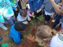 Saev promove ações de educação ambiental e plantio de mudas no Mês do Meio Ambiente